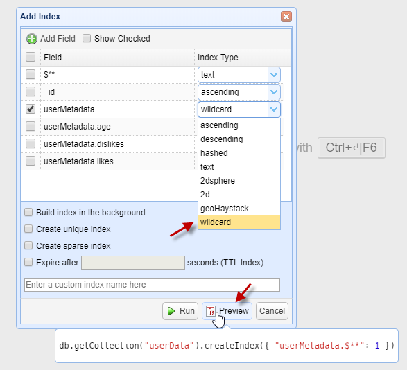 Create Wildcard Index