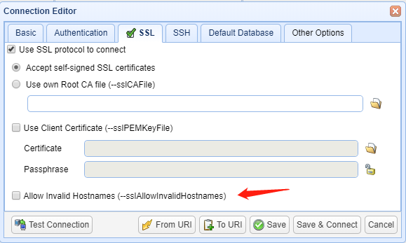 Allow invalid hostnames